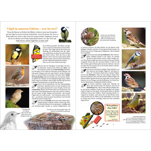 Auf Entdeckungsreise durch unsere Natur - Vögel (Rätselheft)
